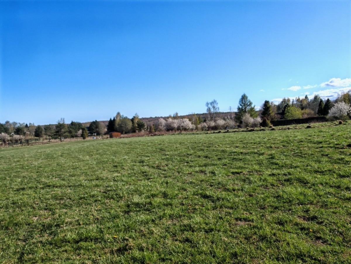 Квартира - 3000 м² - ул. Пржебишневой Чапельск