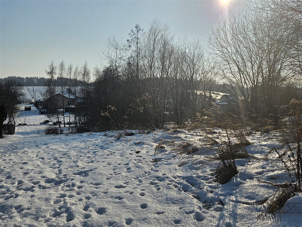 Grundstück - 3800 m² - Wieliczka