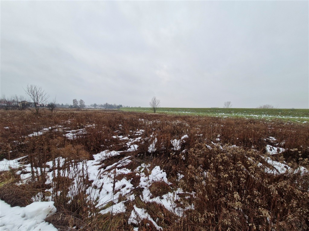 Działka - 4250 m² - Wola Batorska