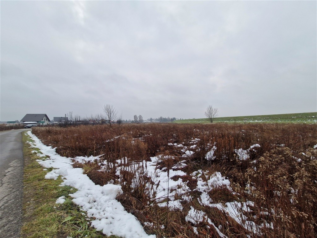 Działka - 4250 m² - Wola Batorska