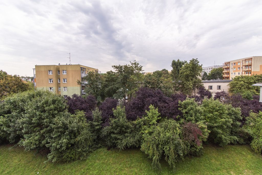 Apartment - 3 rooms - 47 m² - ul. Leopolda Okulickiego Zielona Góra