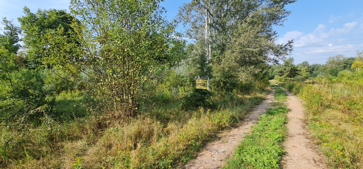 Terreno - 2000 m² - c. Duchnowska Wiązowna Wiązowna Kościelna