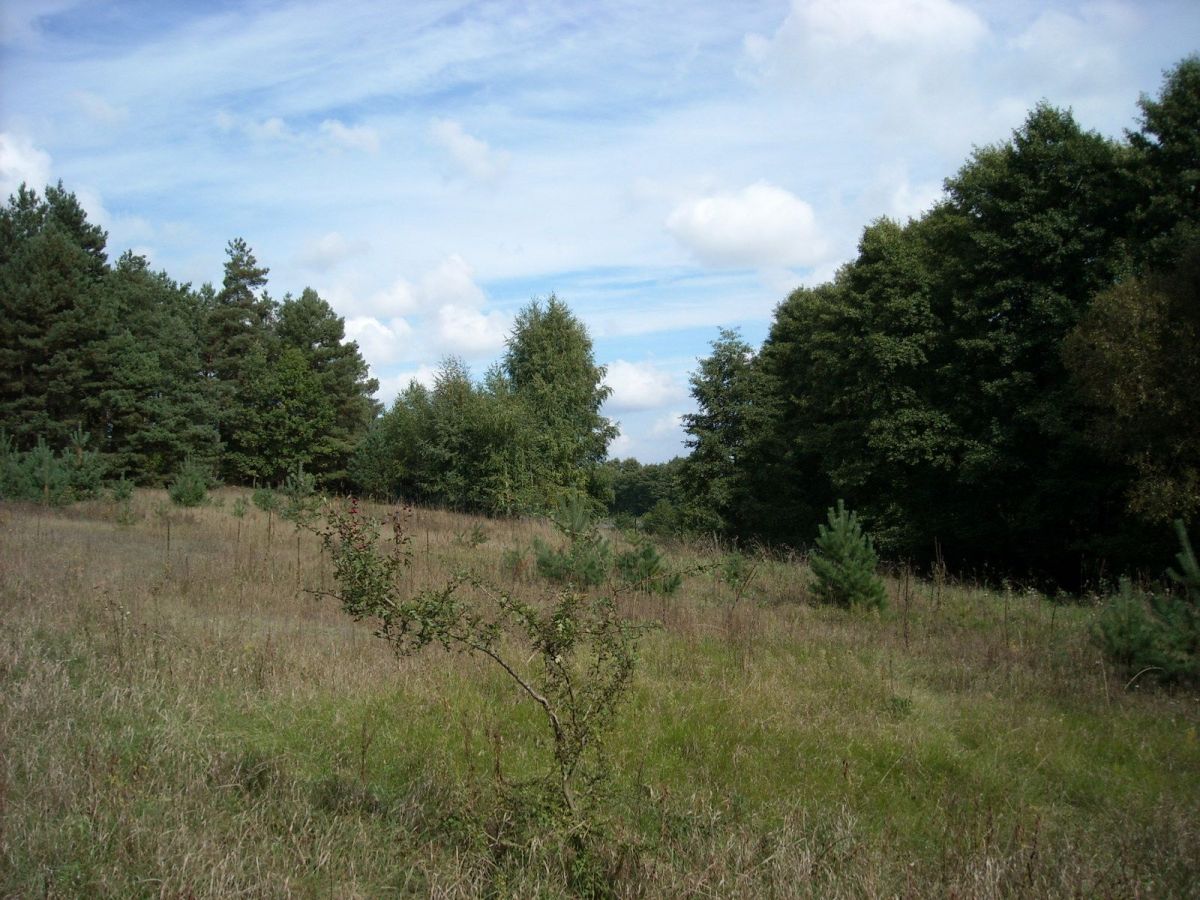 Terreno - 23000 m² - Trojaczek