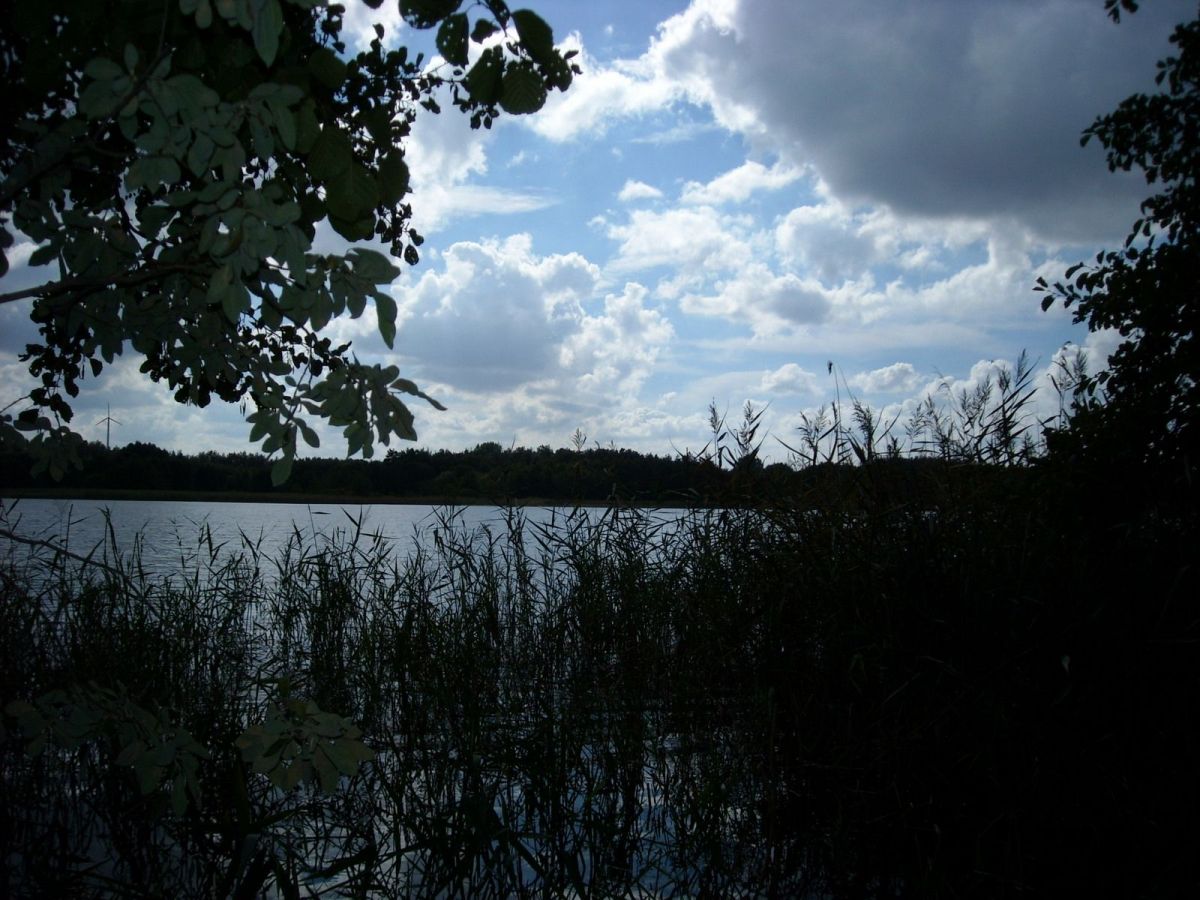 Terreno - 23000 m² - Trojaczek