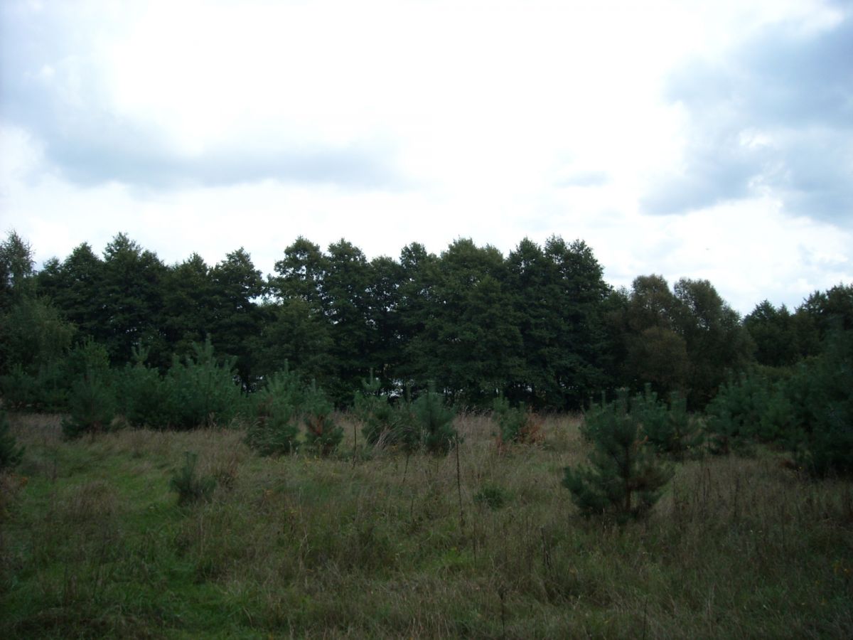 Terreno - 23000 m² - Trojaczek
