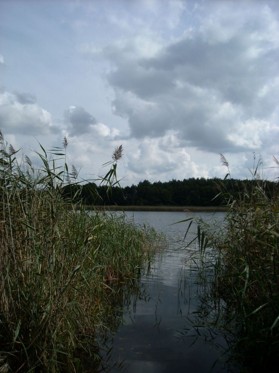 Terreno - 23000 m² - Trojaczek