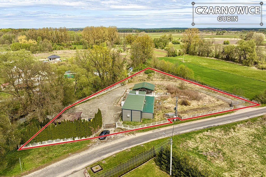 Lokal - 220 m² - Czarnowice