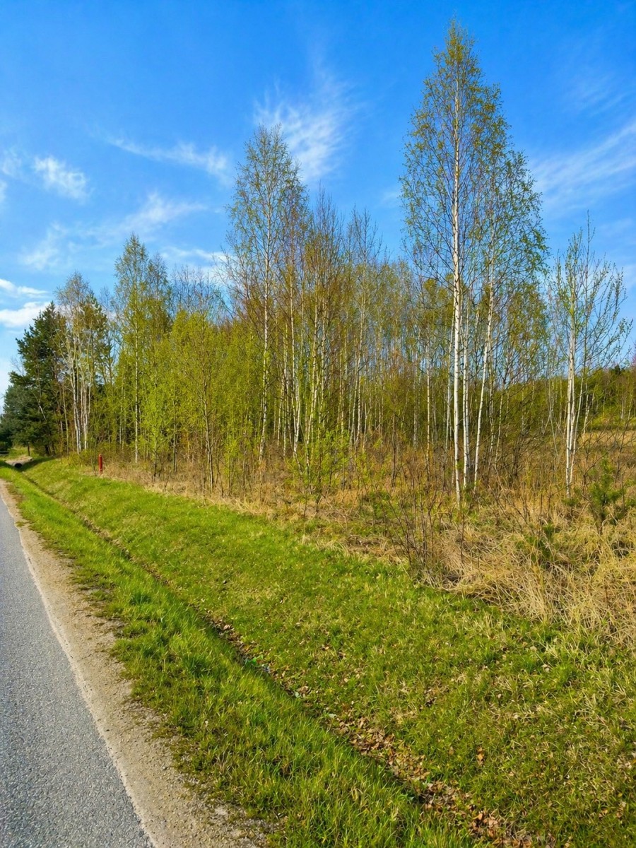 Квартира - 2660 м² - вул. Świniowicka Tworóg