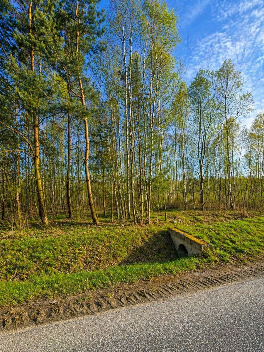 Квартира - 2660 м² - вул. Świniowicka Tworóg