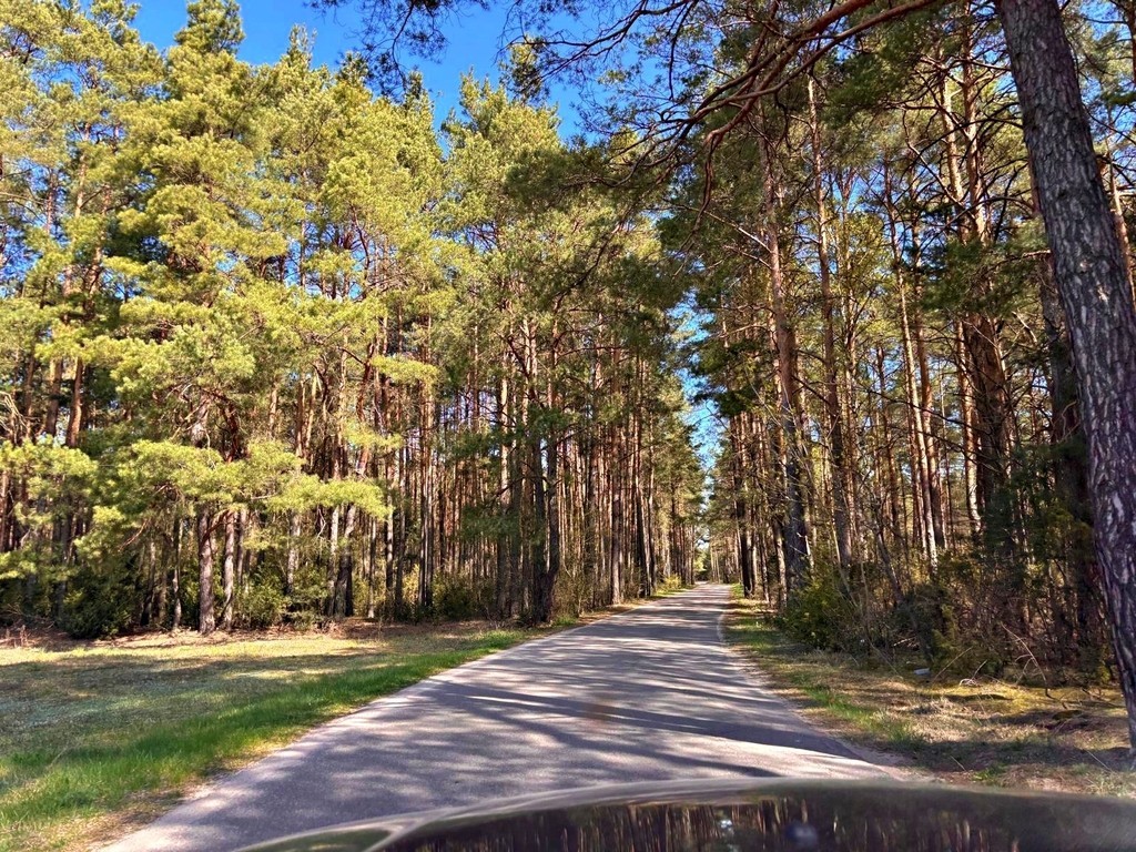 Działka - 4239 m² - Kalinowo