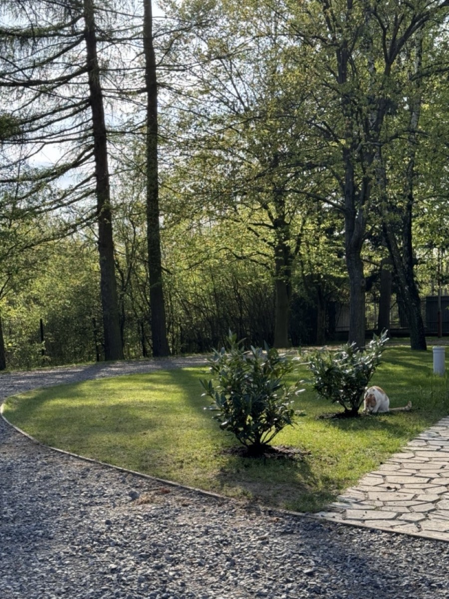 Property - 520 m² - Brzezińska St. Łódź Widzew