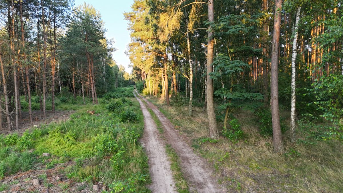 Terreno - 1018 m² - Radzyny