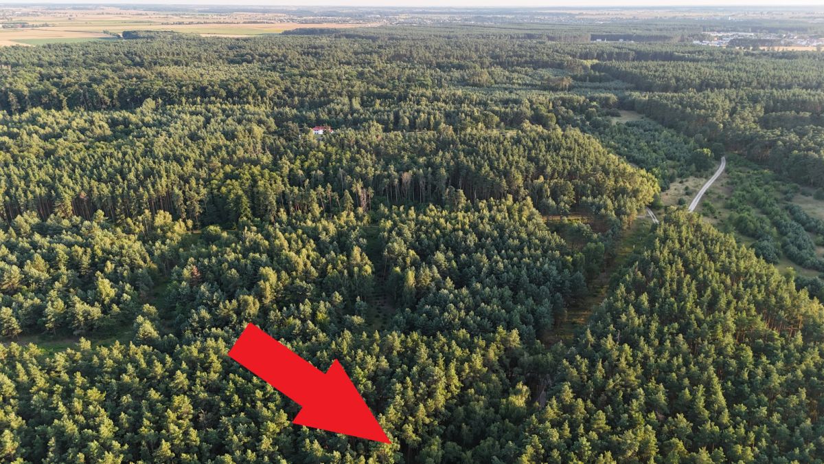 Terreno - 1018 m² - Radzyny
