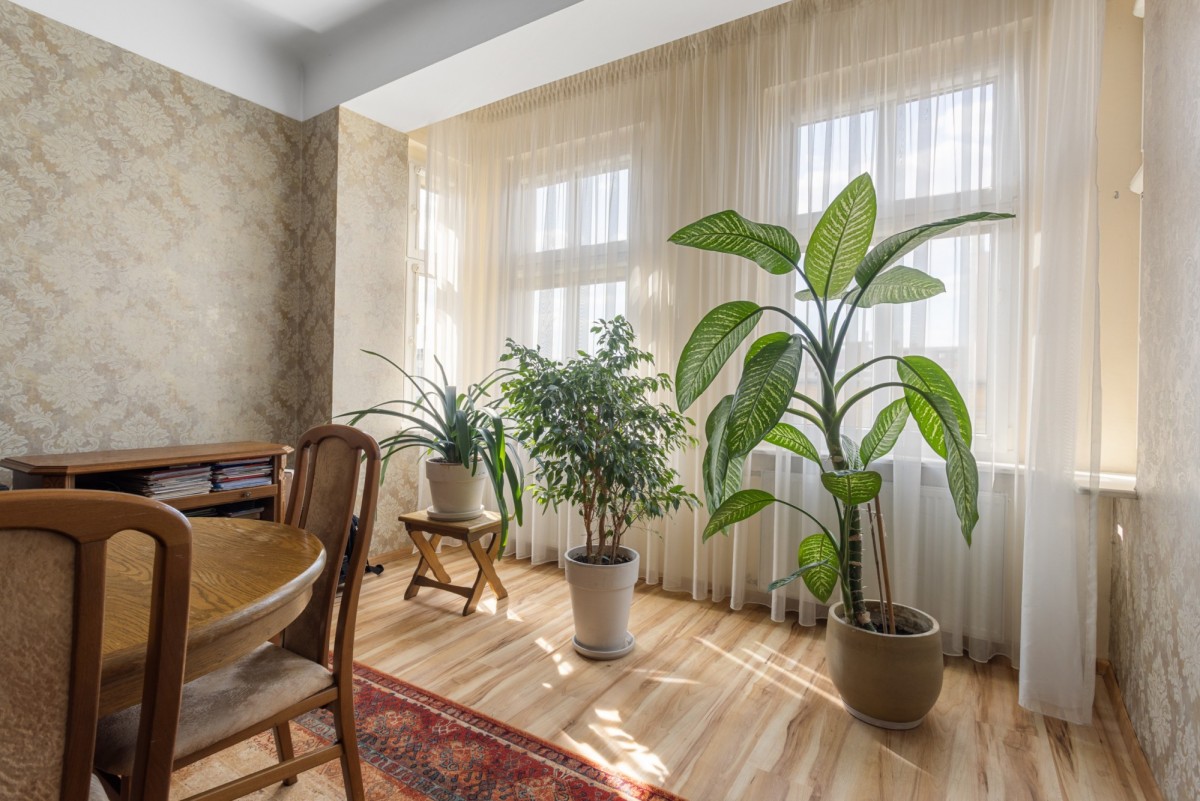 Apartment - 4 rooms - 100 m² - Polna Street Poznań Jeżyce