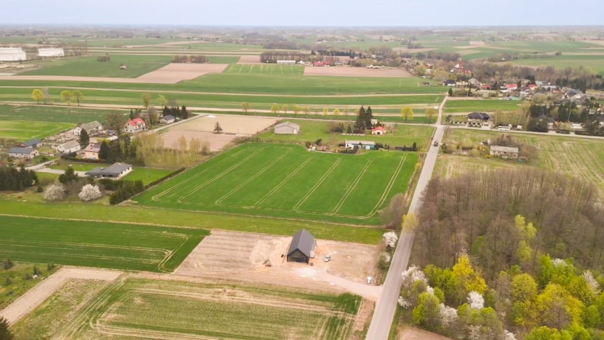 Wohnung - 1550 m² - Miszewko Strzałkowskie