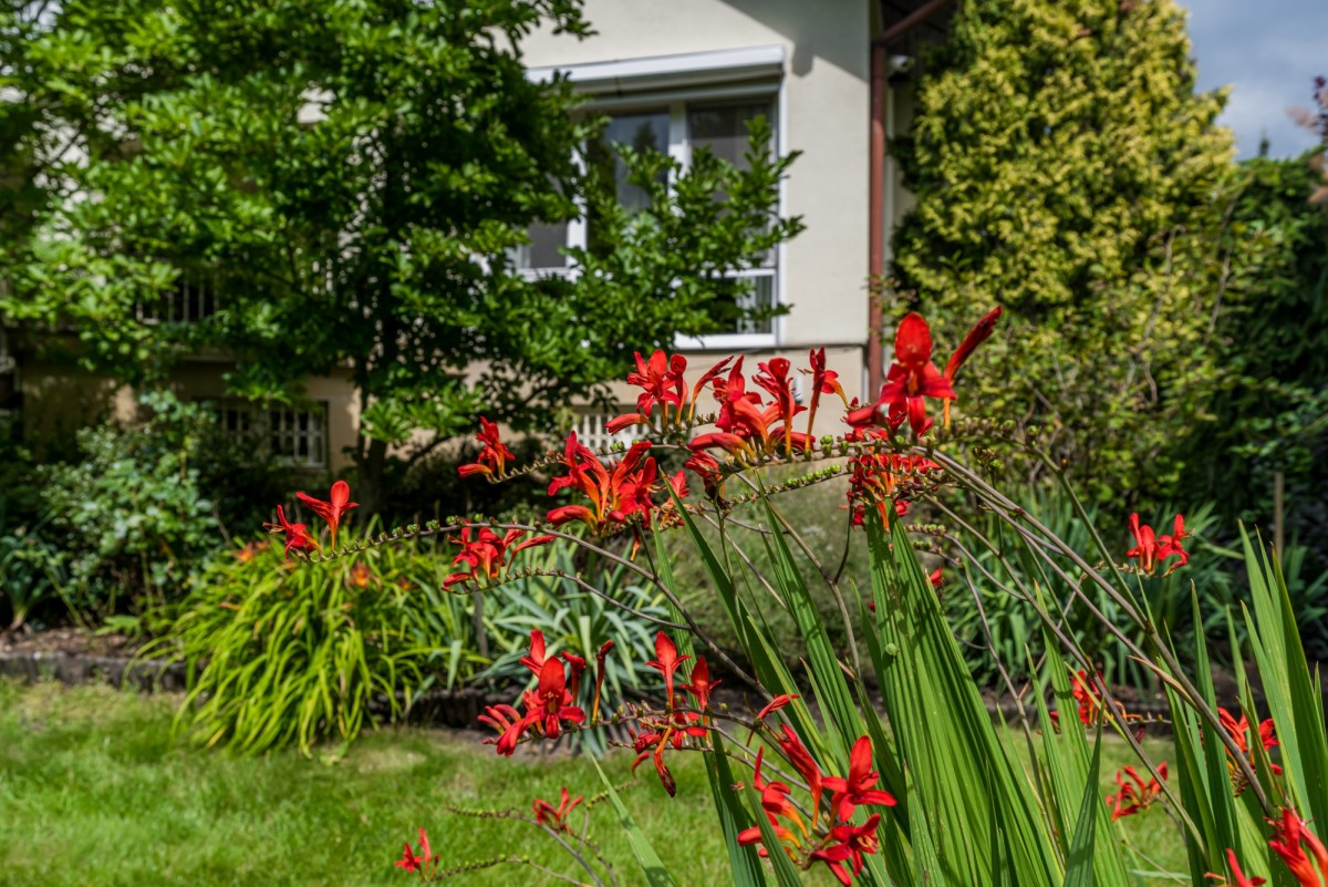 Haus - 8 Zimmer - 497 m² - ul. Migdałowa Józefosław