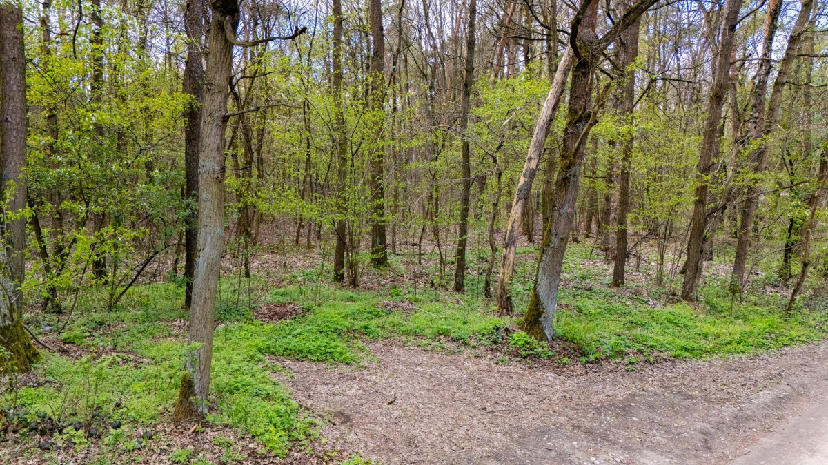 토지 - 3597 m² - Kwiatkowice
