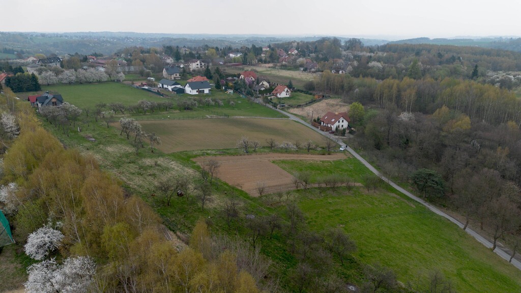 Plot - 4200 m² - Parkowa Street Grębynice