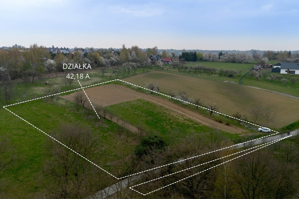 Plot - 4200 m² - Parkowa Street Grębynice