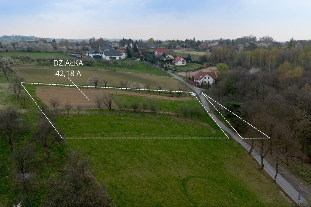 Plot - 4200 m² - Parkowa Street Grębynice