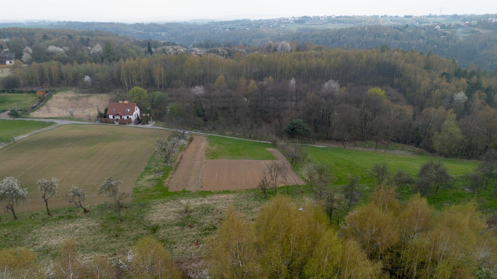 Plot - 4200 m² - Parkowa Street Grębynice