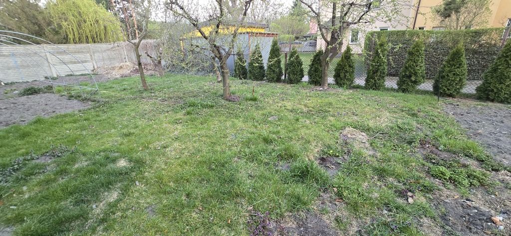 Terreno - 1000 m² - ul. Cypriana Kamila Norwida Pruszków