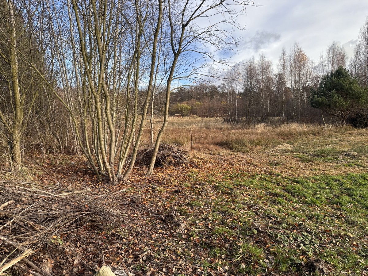Mieszkanie - 4217 m² - Arciechów