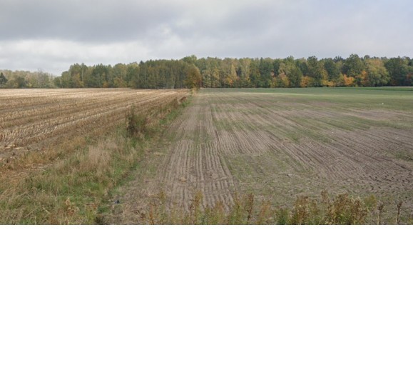 Działka - 10100 m² - Królewiec