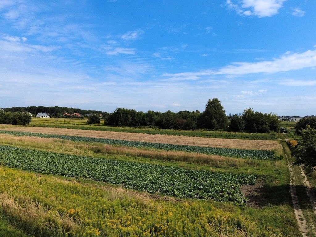 Plot - 1496 m² - Latchorzew