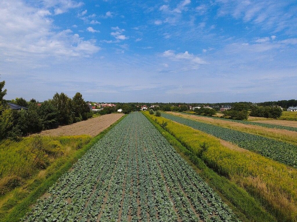 Plot - 1496 m² - Latchorzew