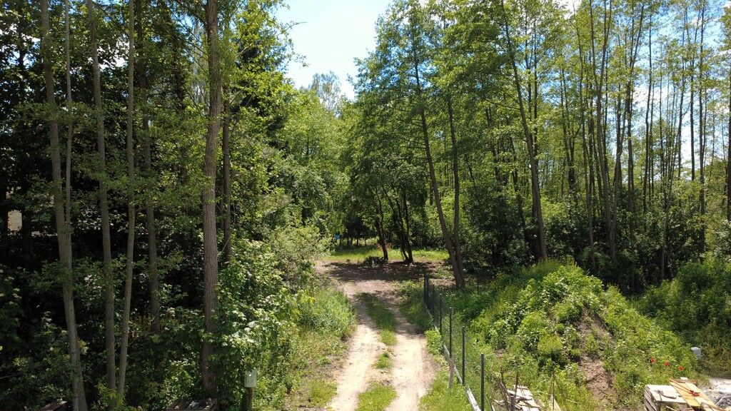 Plot - 1747 m² - Kwiatowa Mariew St.
