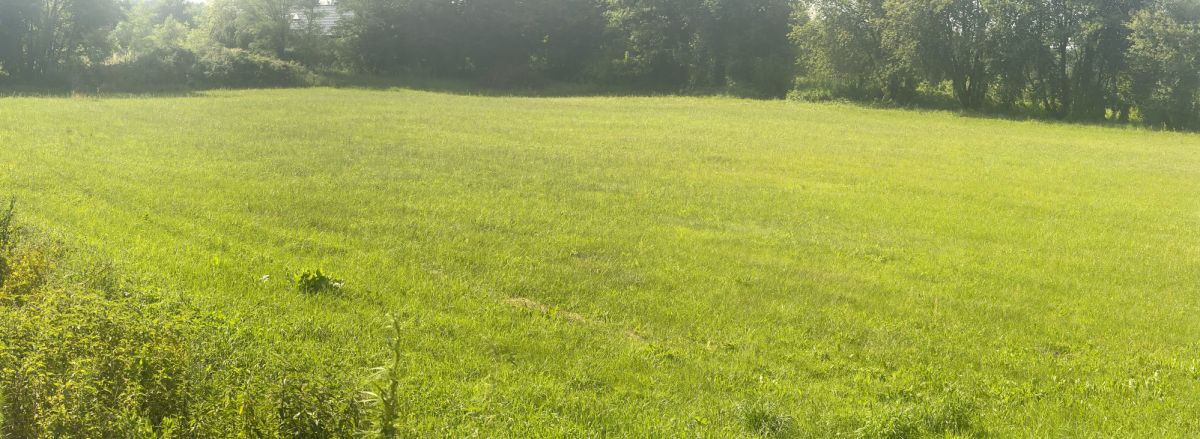 아파트 - 2000 m² - ul. Serocka Nowa Wieś