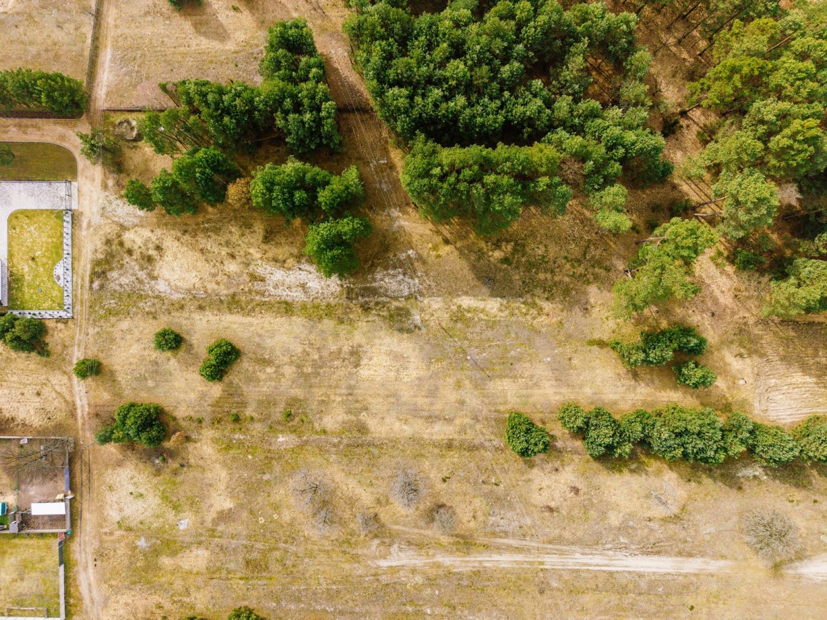 Działka - 1238 m² - Starachowice Działki