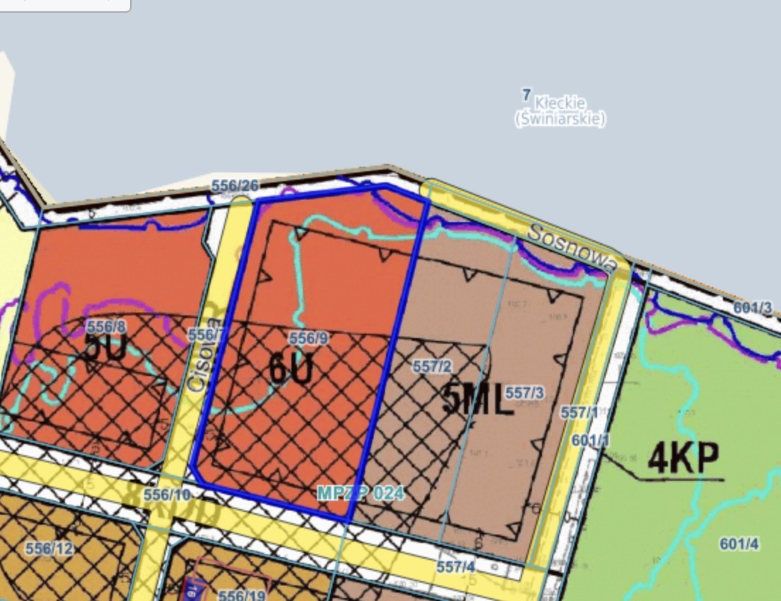 Działka - 3977 m² - ul. Cisowa Kłecko