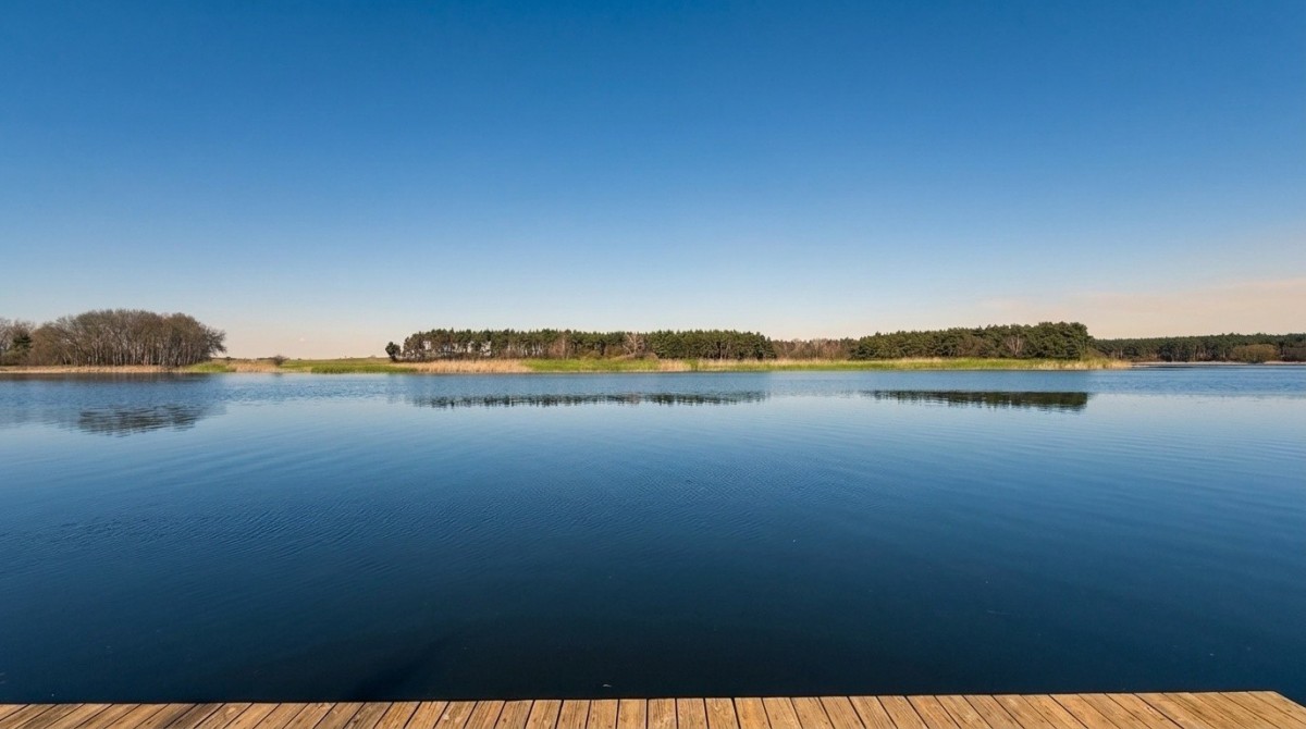 Działka - 3977 m² - ul. Cisowa Kłecko