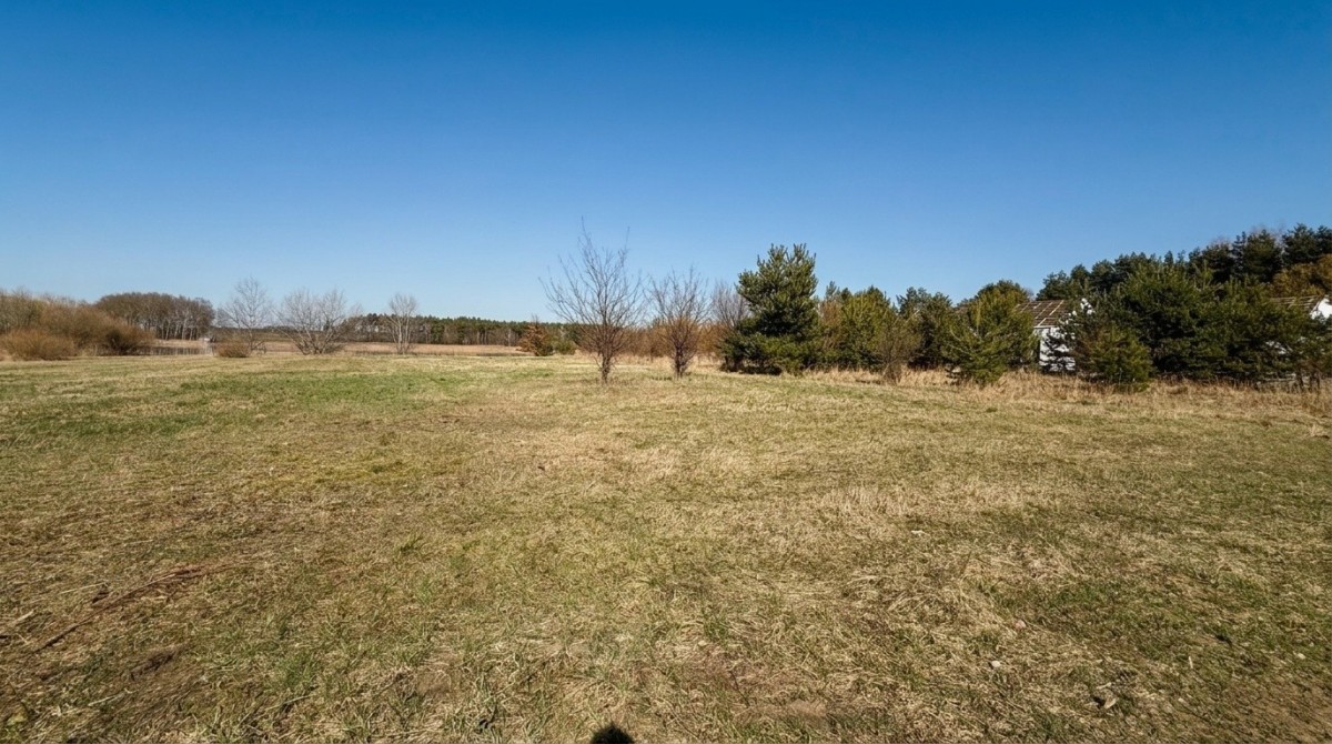 Działka - 3977 m² - ul. Cisowa Kłecko