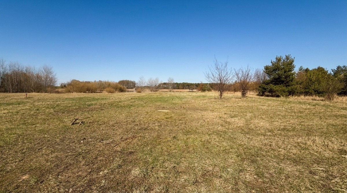 Działka - 3977 m² - ul. Cisowa Kłecko