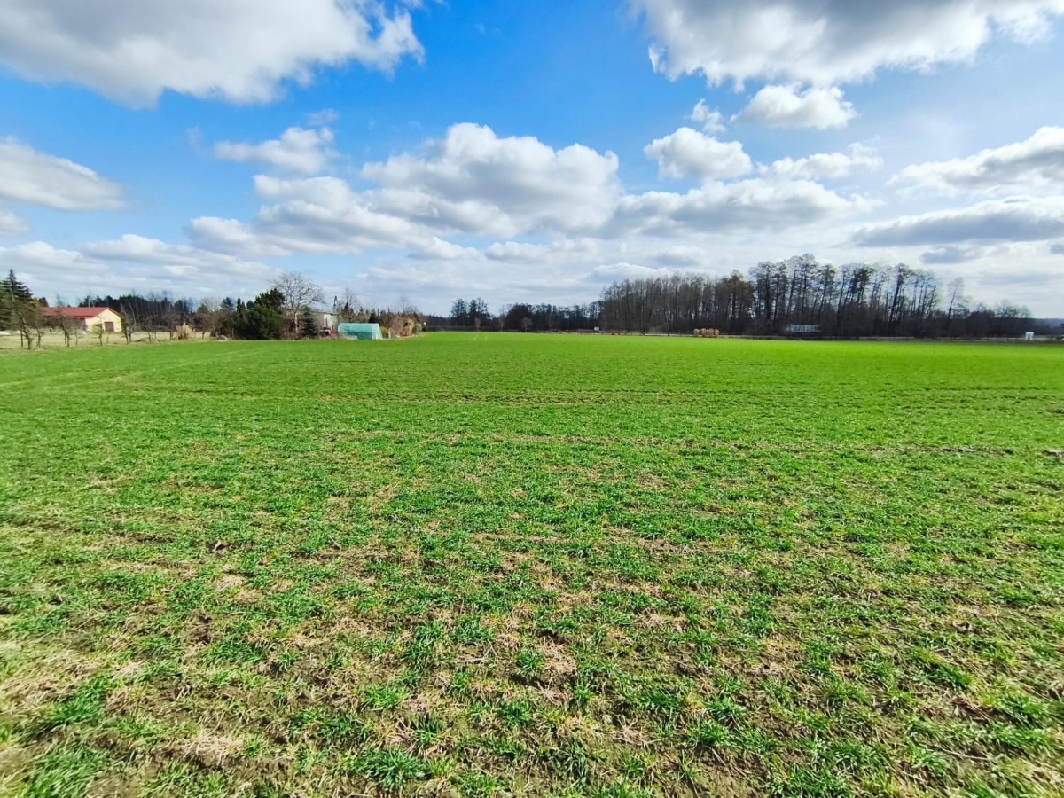 Plot - 1558 m² - Miszewko Strzałkowskie