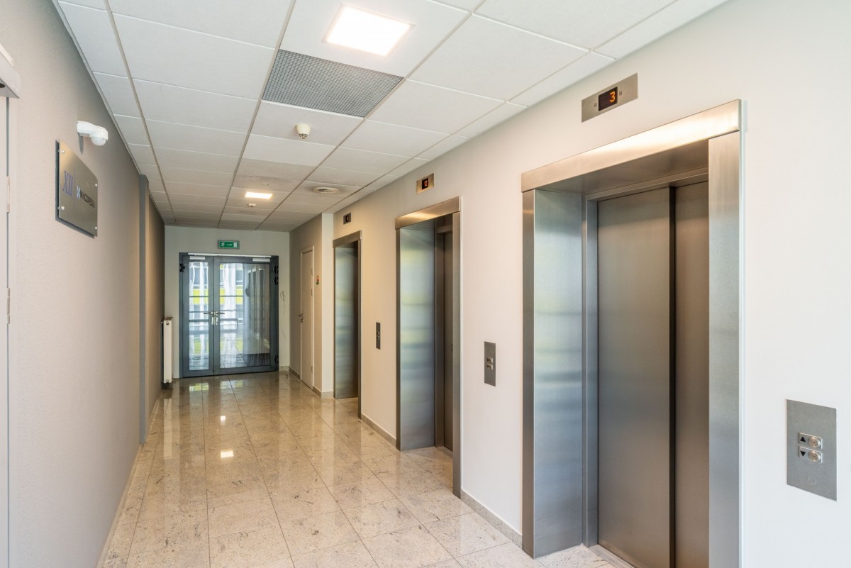 Property - 8 rooms - 388 m² - ul. Jana Henryka Dąbrowskiego Poznań