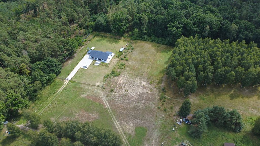 Działka - 4000 m² - ul. Rydzowa Biały Bór