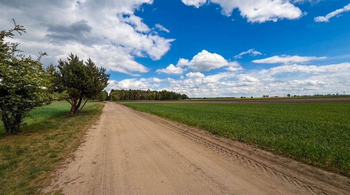 Ділянка - 5600 м² - Святоники Малі