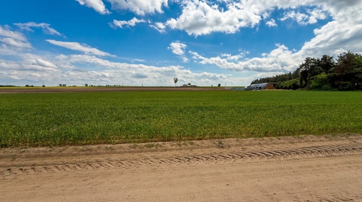 Ділянка - 5600 м² - Святоники Малі