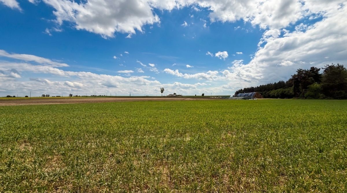 Ділянка - 5600 м² - Святоники Малі