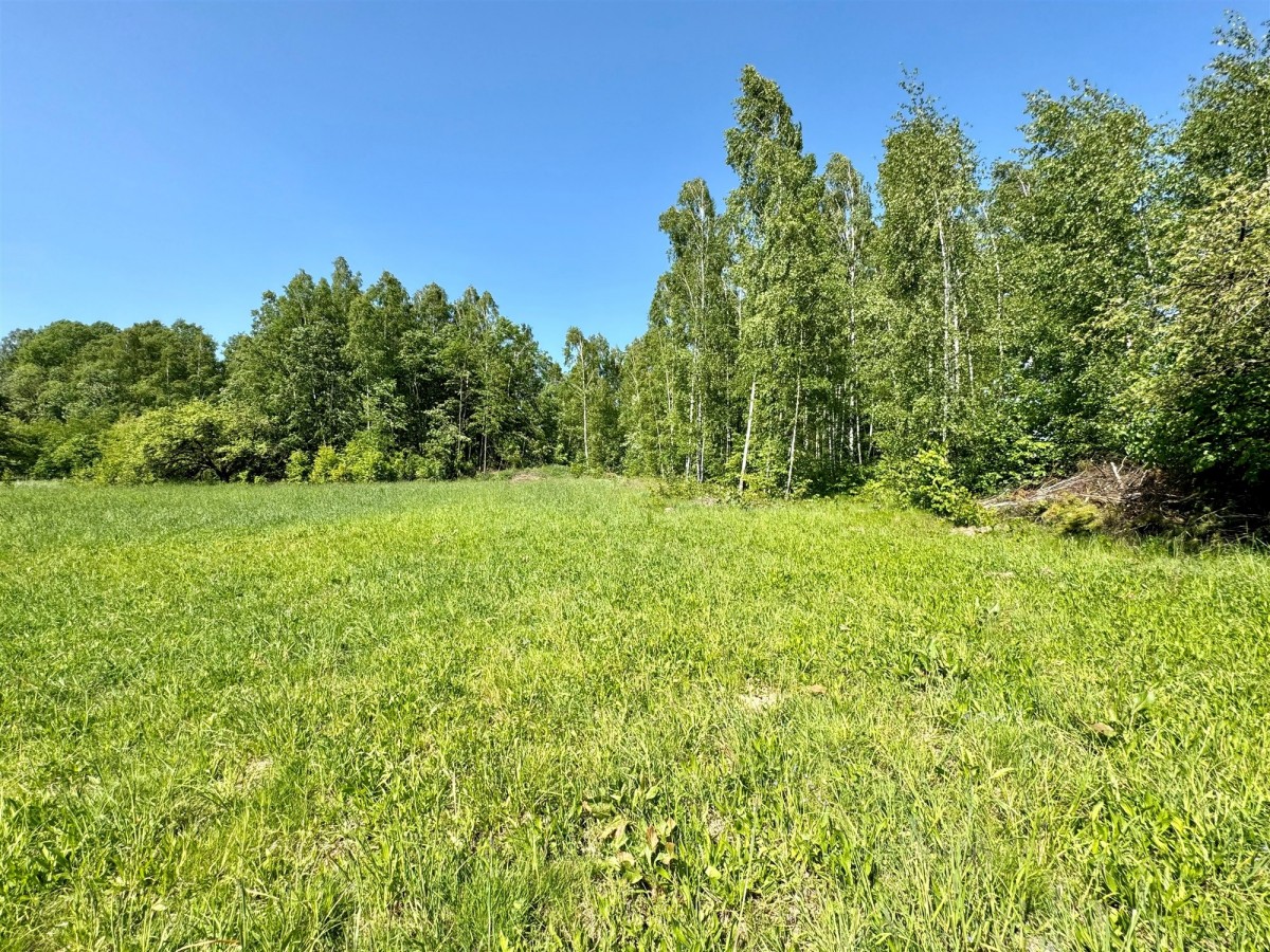 Działka - 21300 m² - Bieniowce-Kolonia
