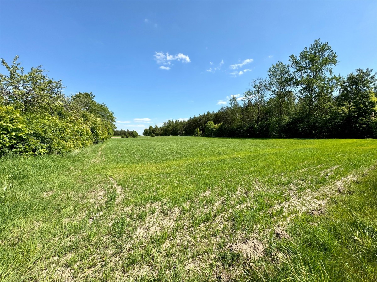 Działka - 21300 m² - Bieniowce-Kolonia