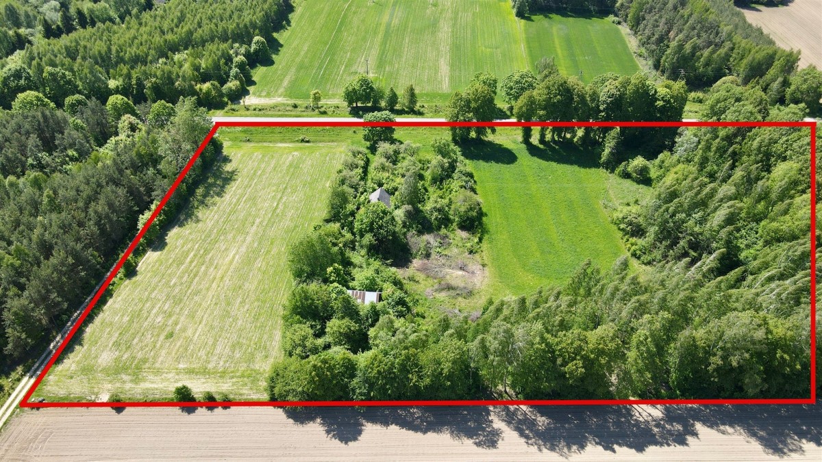 Działka - 21300 m² - Bieniowce-Kolonia