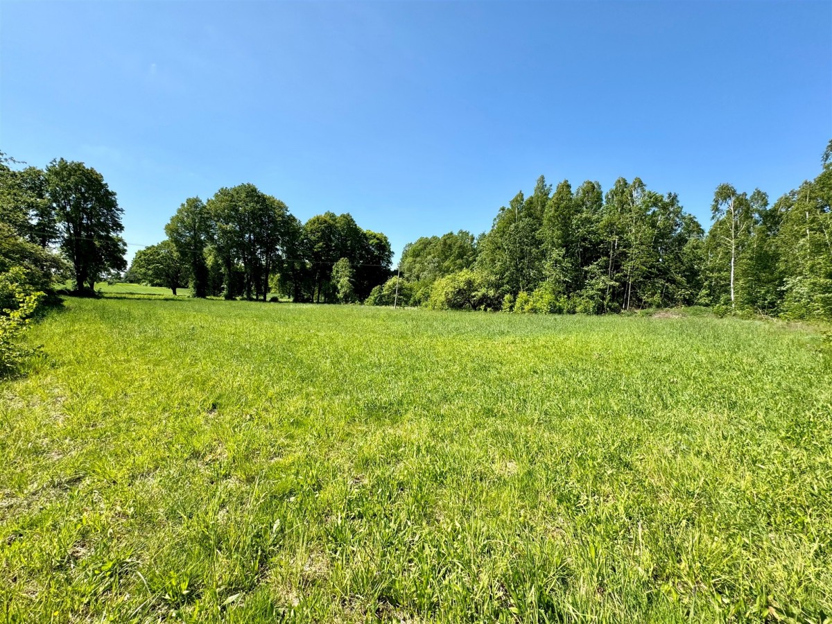Działka - 21300 m² - Bieniowce-Kolonia
