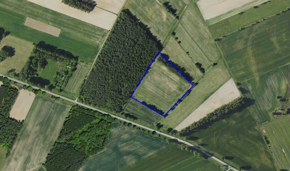 Działka - 21200 m² - Nowy Dwór