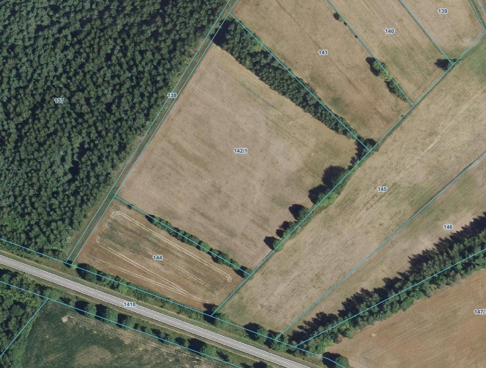 Działka - 21200 m² - Nowy Dwór
