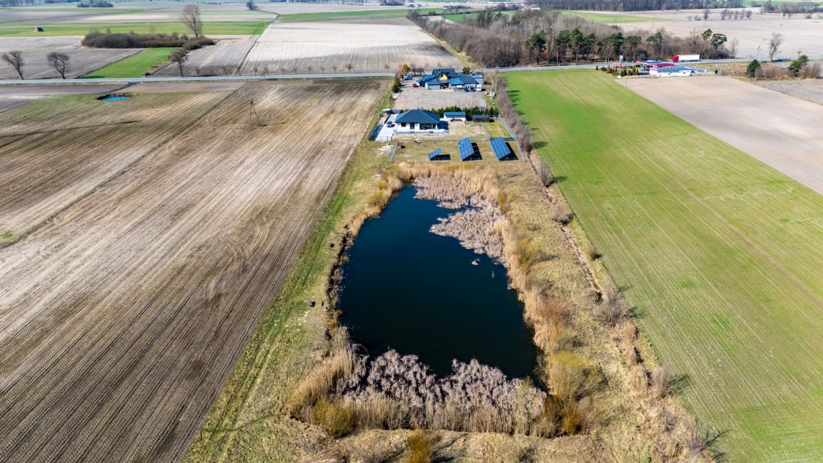 Property - 37150 m² - Bzówki